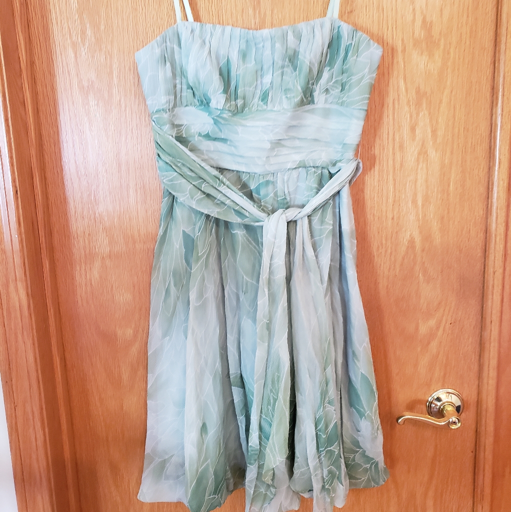 Bcbg Dusty Jade Dress